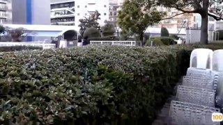 含有“国产好大好深好猛好爽视频”等内容的视频在线观看